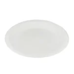 plato fibra moldeada 22